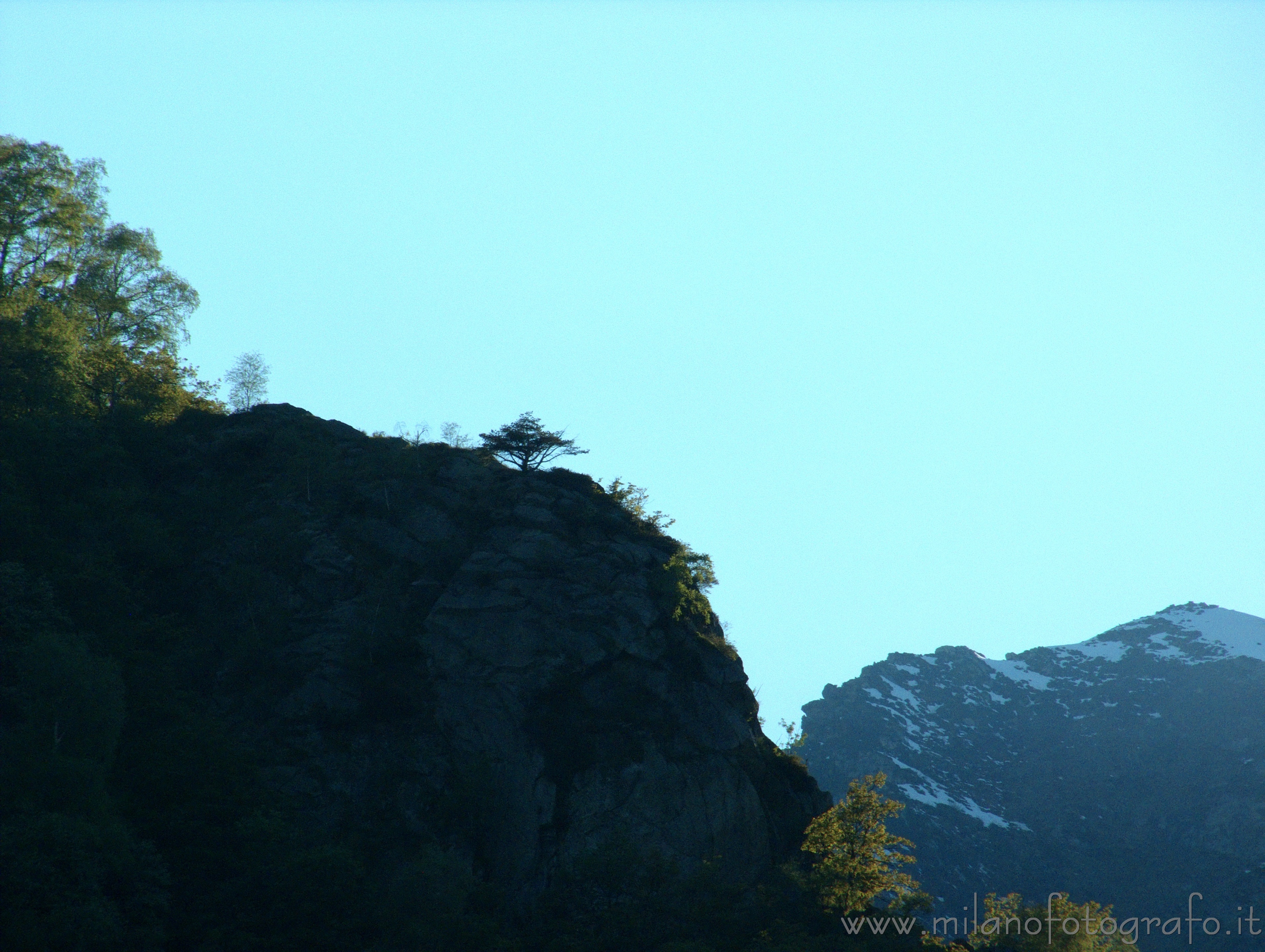 Valmosca fraction of Campiglia Cervo (Biella, Italy) - Isolated tree on a rock at sunset